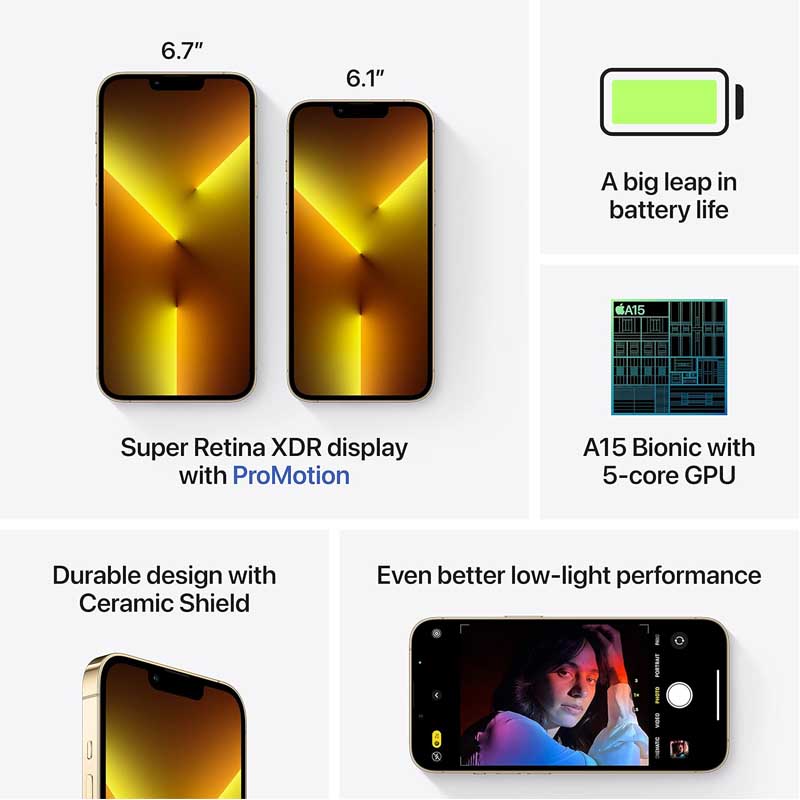 Used Apple iphone 13 Pro Max 256GB - Gold